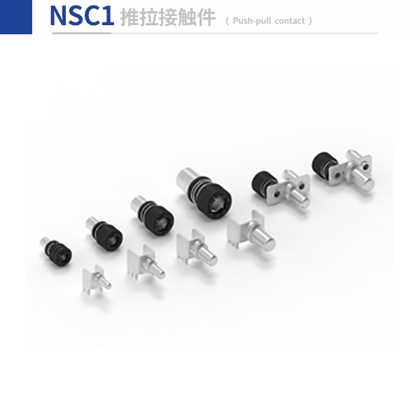 NSC1